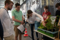 Science League 2023, Hammer Engineers siegreich