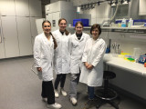 Flora Hage, Luise Kellermann und Lenja Holling mit Dr. Andrea Dlugos im Labor am Campus Hamm der HSHL