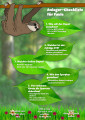 Poster mit einem animierten Faultier im Dschungel und Text.