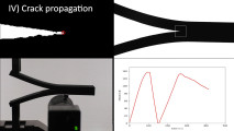 Crack propagation in FFF 3D Printing