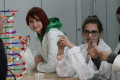 Teilnehmerinnen des Girls' Day 2015 lernen DNA-Isolation kennen