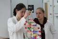 Am Girls' Day 2015 experimentieren die Teilnehmerinnen zur DNA-Isolation.