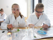 Am Girls' Day 2015 experimentieren die Teilnehmerinnen zum Thema Lotuseffekt